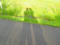 a shadow of a couple standing in a grassy field